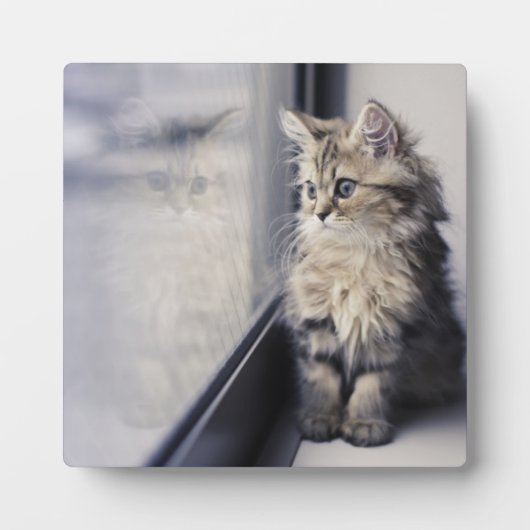 子猫の窓 フォトプラーク (正面)