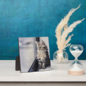 子猫の窓 フォトプラーク (インサイチュ)