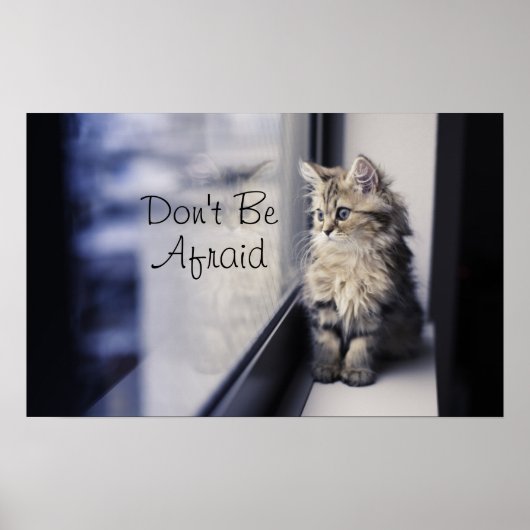 子猫の窓 ポスター (正面)