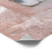 子猫の窓 ポスター (角)