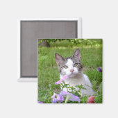 子猫の花マグネット マグネット (正面/裏面)