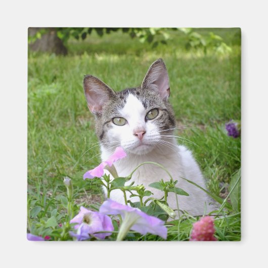 子猫の花マグネット マグネット (正面)