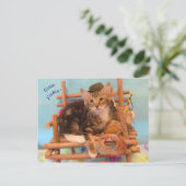 子猫の行った魚のはがき ポストカード (スタンド正面)