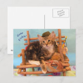 子猫の行った魚のはがき ポストカード (正面/裏面)