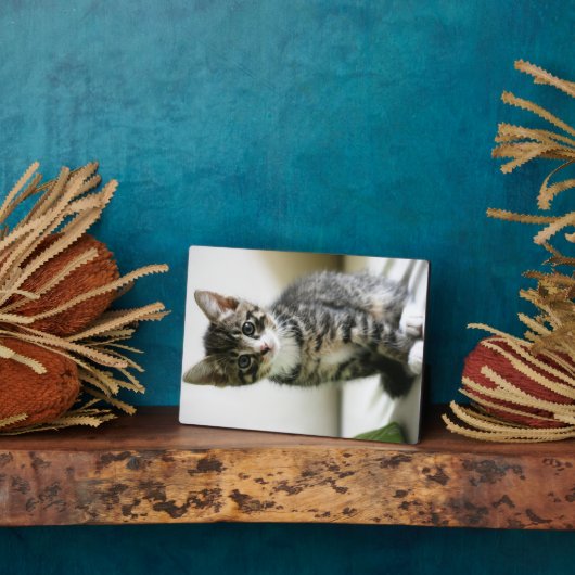 子猫の視線 フォトプラーク (側面)