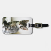 子猫の視線 ラゲッジタグ (正面横)