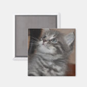 子猫の遊び姿 マグネット (正面/裏面)
