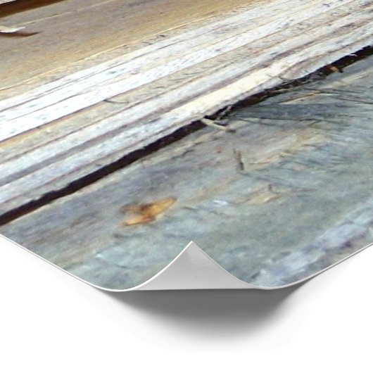 子猫の隠し家 ポスター (角)