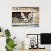 子猫の隠し家 ポスター (ホームオフィス)