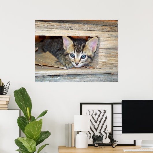 子猫の隠し家 ポスター (ホームオフィス)