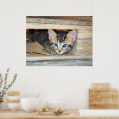 子猫の隠し家 ポスター (キッチン)