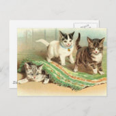 子猫の隠し家 ポストカード (正面/裏面)