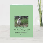 子猫の青のポートレート カード (裏面)