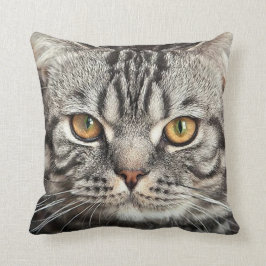 子猫の顔のクローズアップの枕 クッション