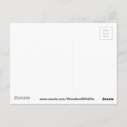 子猫はがき ポストカード (裏面)