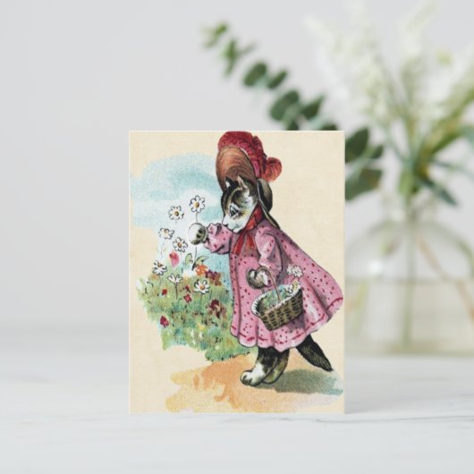 子猫はがき ポストカード (スタンド正面)