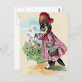 子猫はがき ポストカード (正面/裏面)