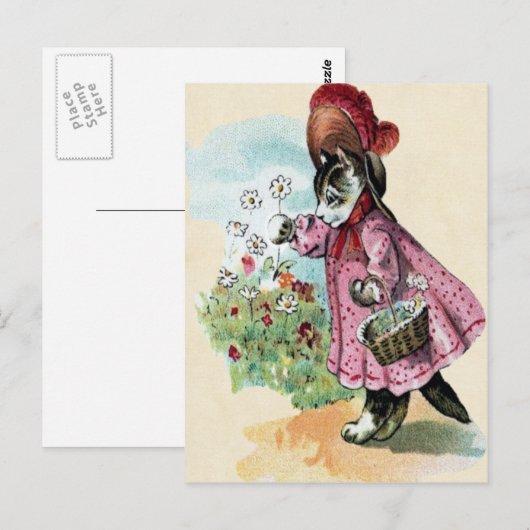 子猫はがき ポストカード (正面/裏面)