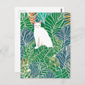 子猫はがき ポストカード (正面/裏面)