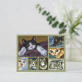 子猫はがき ポストカード (スタンド正面)