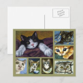 子猫はがき ポストカード (正面/裏面)