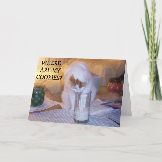 子猫はクッキーが必要/Uハッピーバースデー カード (正面)