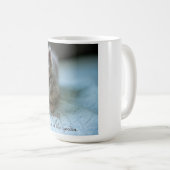 子猫はバラのつぼみの猫マグ コーヒーマグカップ (正面右)