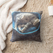 子猫は昼寝を取る、虎猫虎の猫の眠っている クッション (ブランケット)