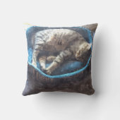 子猫は昼寝を取る、虎猫虎の猫の眠っている クッション (裏面)