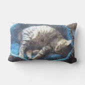 子猫は昼寝を取る、虎猫虎の猫の眠っている ランバークッション (裏面)