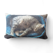 子猫は昼寝を取る、虎猫虎の猫の眠っている