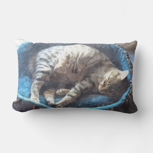 子猫は昼寝を取る、虎猫虎の猫の眠っている ランバークッション (正面)