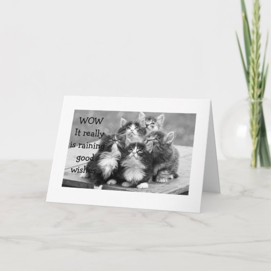 子猫は皆、私がハッピーバースデーを持つべきだと思う カード (正面)