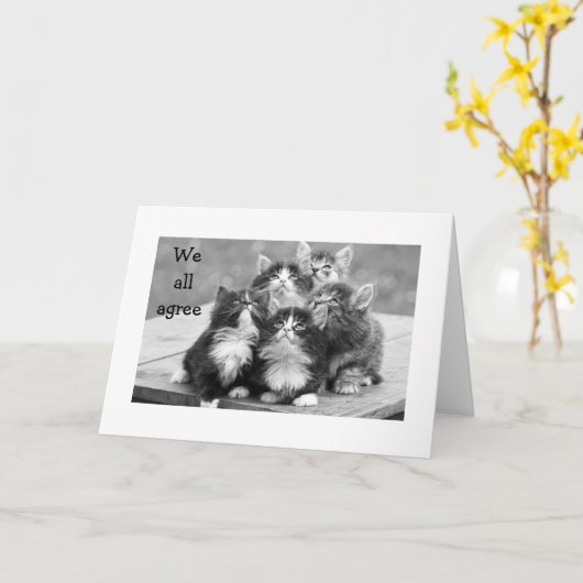 子猫は皆、私がハッピーバースデーを持つべきだと思う カード (黄色い花)