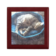 子猫は睡眠昼寝、水彩画の虎猫猫の睡眠をを取ります