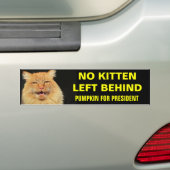子猫は置いてきぼり 2 バンパーステッカー (車上)