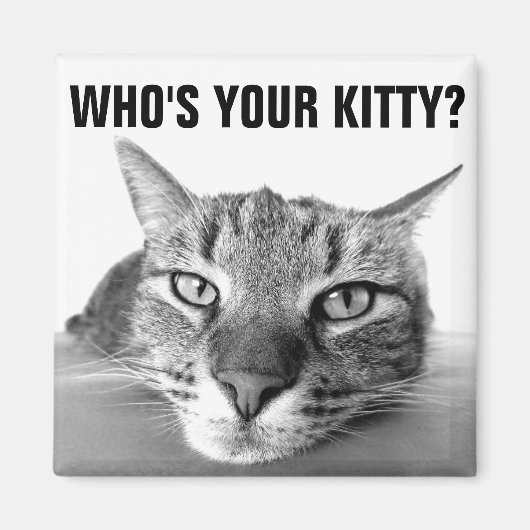 子猫は?マグネット、虎猫 マグネット (正面)