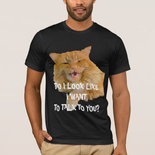 子猫は「私はあなたと話したいように見える?」 Tシャツ (正面)