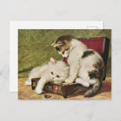 子猫よくはしゃぐカード ポストカード (正面/裏面)