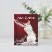 子猫よくはしゃぐクリスマス シーズンポストカード (スタンド正面)