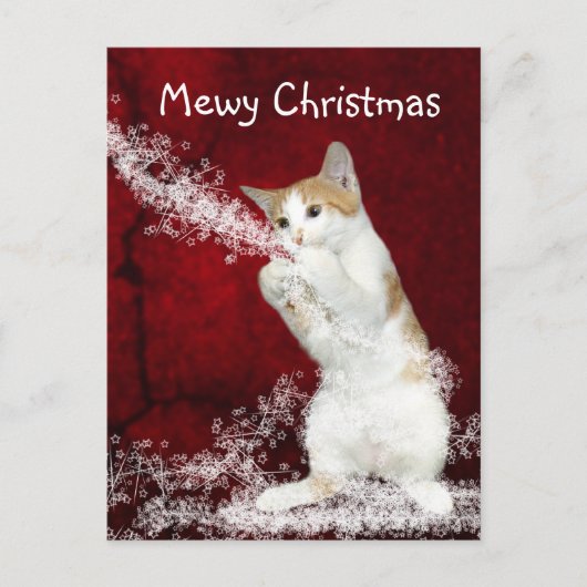 子猫よくはしゃぐクリスマス シーズンポストカード (正面)