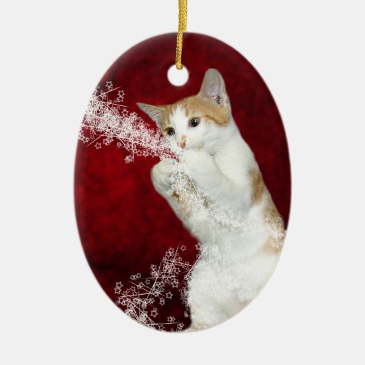 子猫よくはしゃぐクリスマス セラミックオーナメント (正面)