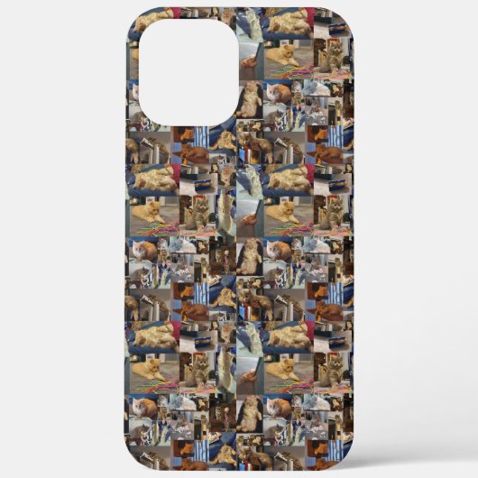 子猫よくはしゃぐ写真館 Case-Mate iPhoneケース (裏面)