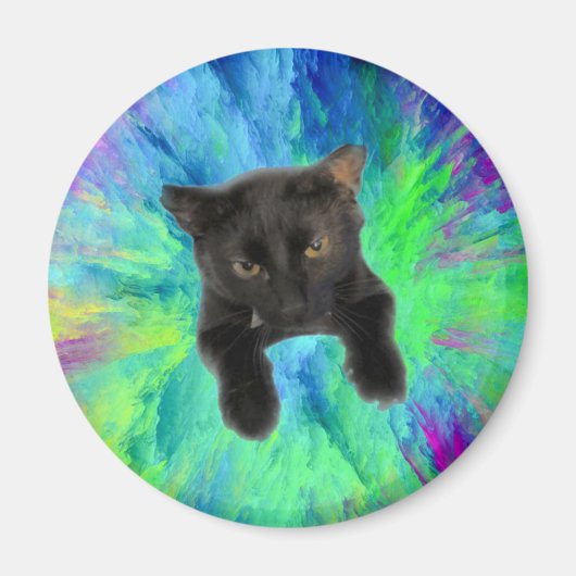 子猫を保持する紙冷蔵庫 マグネット (正面)