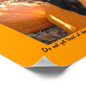 子猫を収穫する ポスター (角)