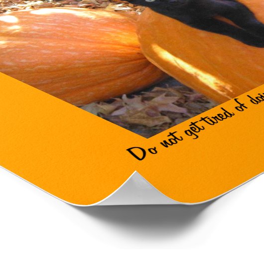 子猫を収穫する ポスター (角)