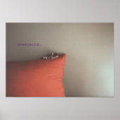 子猫を飼う ポスター (正面)