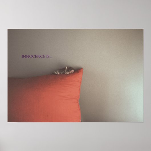 子猫を飼う ポスター (正面)