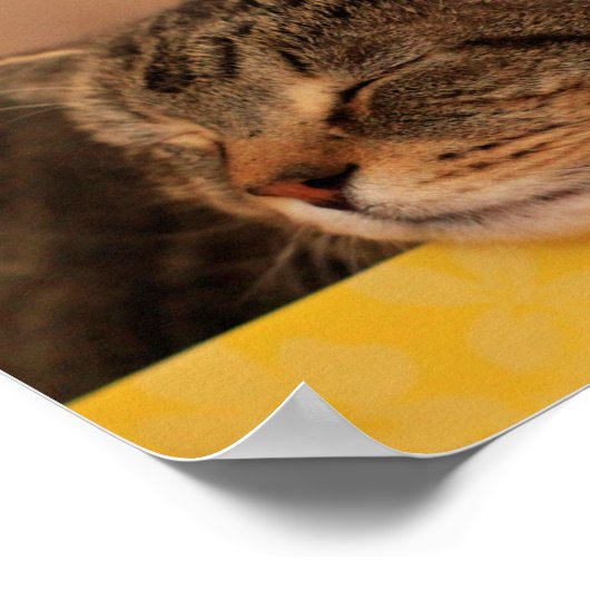 子猫アドバイス 感動的 ポスター (角)