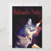 子猫アロークローズアップ写真招待状 招待状 (正面)